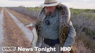 The Bounty Hunters Catching Pythons In Florida HBO [upl. by Freedman70]