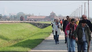 walking through auschwitz [upl. by Putnam]