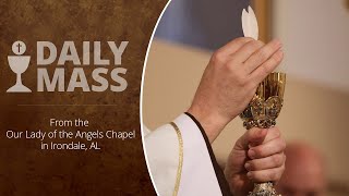 Catholic Daily Mass  Daily TV Mass  November 19 2023 [upl. by Dearman964]