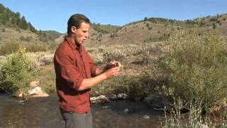 How to Measure Dissolved Oxygen in Water [upl. by Wilbert]