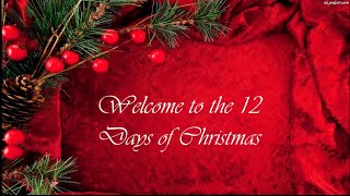 12 Days Of Christmas Lyrics [upl. by Mahalia467]