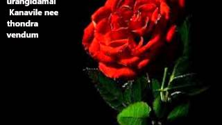 Uyirin Uyire  Thaandavam with lyrics [upl. by Amluz]