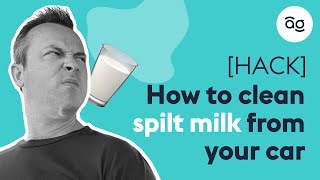 How to clean spilt milk in your car  AutoGurucomau [upl. by Lyrak171]