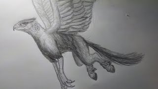 Drawing The Hippogriff from Harry Potter [upl. by Runstadler]