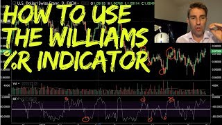 How to Use the Williams R Indicator 📈 [upl. by Corabella]