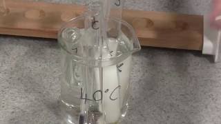 Enzyme Rate of Reaction Trypsin [upl. by Ulani902]