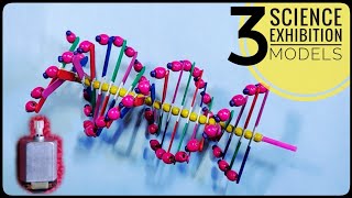 3 Easy DNA MODEL PROJECT Ideas  Science Exhibition Models [upl. by Mailliwnhoj]