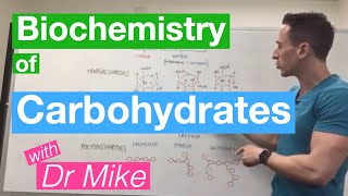 Carbohydrates  Biochemistry [upl. by Cari63]