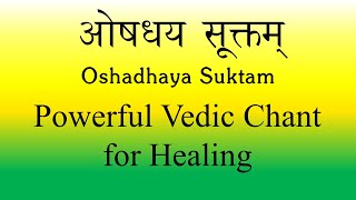 POWERFUL Mantra for Medicinal Healing  Oshadhaya Suktam  Yajur Veda  Produced by Sri K Suresh [upl. by Andrej]