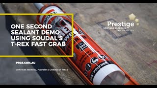 One Second Sealant Demo using Soudals TRex Fast Grab [upl. by Ayotna]