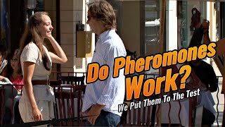 Do Pheromones Work [upl. by Rosalinde]