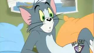 Tom and Jerry 334 part1  Babysitting Blues 2007 [upl. by Cassil]