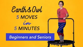 Beginners and Seniors 5 Minute Trampoline Rebounding Workout [upl. by Judd562]