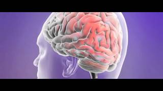 First Seizures Part 1  Dr Britton Mayo Clinic [upl. by Alvis56]