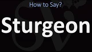 How to Pronounce Sturgeon CORRECTLY [upl. by Hendrickson]