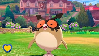 HOW TO GET Hoothoot in Pokémon Sword and Shield [upl. by Ahsot]