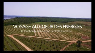 Comment une centrale biomasse transforme résidus végétaux et déchets en électricité  EDF [upl. by Cecilius]