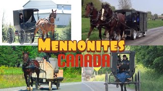 Mennonites in Canada [upl. by Aizirtap]