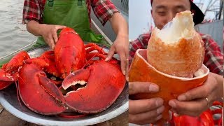 Fisherman Eat Giant Lobster Mukbang  Chinese Seafood Mukbang Show [upl. by Brittani566]