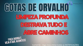 HOOPONOPONO GOTAS DE ORVALHO [upl. by Nide]