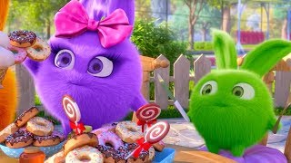 Sunny Bunnies  ALL THE DONUTS   COMPILATION  Videos For Kids  WildBrain [upl. by Lagas633]