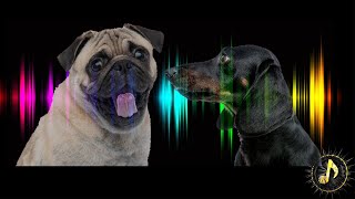 Dogs Barking Sound Effect  Sounds Dogs Love [upl. by Claiborne]