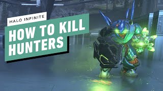 Halo Infinite  How To Kill Hunters [upl. by Libre]