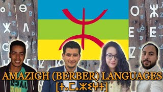 Can Amazighs Understand Each Other [upl. by Rosmunda]