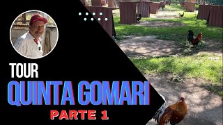 49 Tour por Quinta Gomari Parte 1 [upl. by Aon]