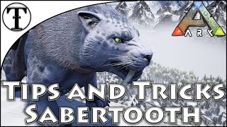 Fast Sabertooth Taming Guide  Ark  Survival Evolved Tips and Tricks [upl. by Meehyrb]