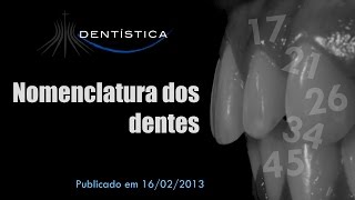 Nomenclatura dos dentes [upl. by Dougal]