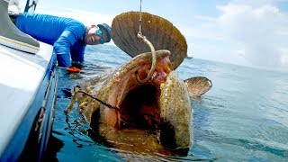 Caught a Monster Grouper that Weighed MORE than the BOAT [upl. by Cooper]