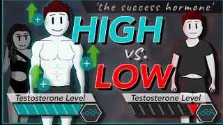 TESTOSTERONE How To Increase Testosterone amp Its Effects Naturally Boost Low Levels [upl. by Kriss811]