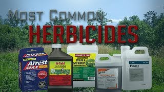 Five Most Common Food Plot Herbicides [upl. by Dusty]