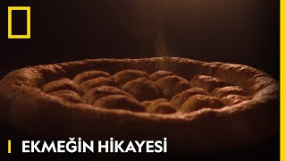 Ekmeği Hikayesi  National Geographic [upl. by Elisabetta]