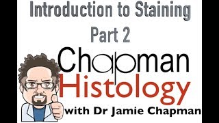 3 Min Histology Intro To Staining 2 [upl. by Ivor49]