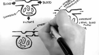 GFR 1  Control of GFR [upl. by Okramed]
