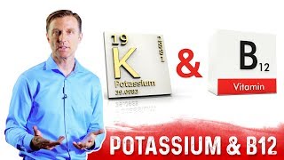 Potassium and Vitamin B12 Balance Explained by DrBerg [upl. by Ledairam]