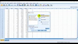 Ratio Statistics in SPSS [upl. by Magdalen]