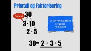 Primtall og Faktorisering [upl. by Haniraz]