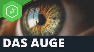 Das Auge [upl. by Areem]