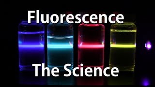 How Fluorescence Works  The Science [upl. by Reyna671]