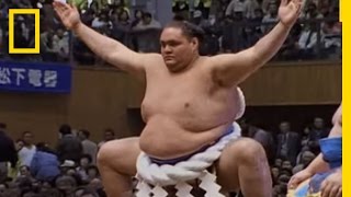 Sumo Wrestling 101  National Geographic [upl. by Jacquetta]