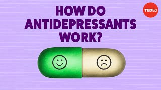 How do antidepressants work  Neil R Jeyasingam [upl. by Ybeloc]