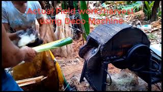 Abaca Harvesting Deco Spindle Machine [upl. by Scharff]