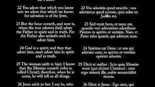 John 4  Audio Bible in Latin amp English of New Testament [upl. by Arimaj]