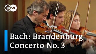 Bach Brandenburg Concerto No 3  Claudio Abbado amp the Orchestra Mozart [upl. by Seroled719]