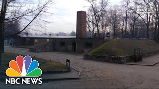 Auschwitz Survivors Return To Death Camp 75 Years Later‌  NBC Nightly News [upl. by Anpas980]