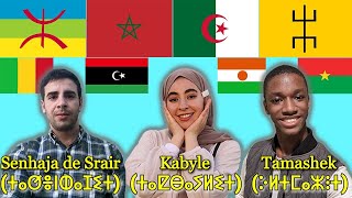 Can Tuaregs Kabyle and Sanhja Amazighs understand each other [upl. by Lora568]