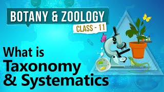 What is Taxonomy and Systematics  Diversity in Organisms  Biology Class 11 [upl. by Idnahs]